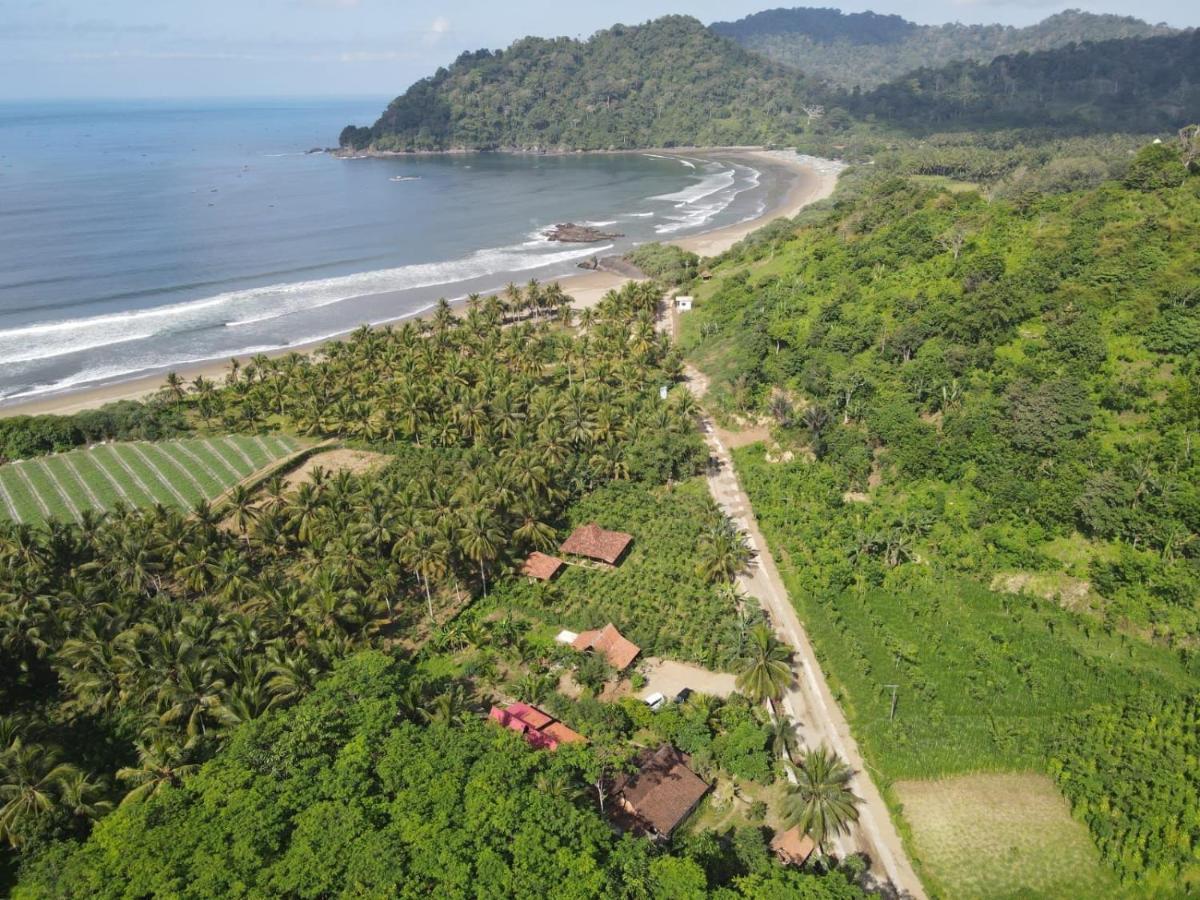 Java Turtle Lodge Meru Betiri Banyuwangi  Exteriör bild