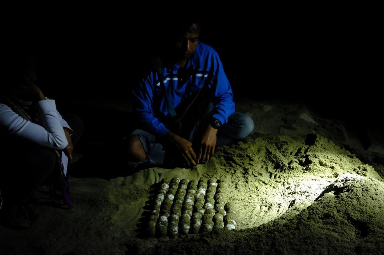 Java Turtle Lodge Meru Betiri Banyuwangi  Exteriör bild