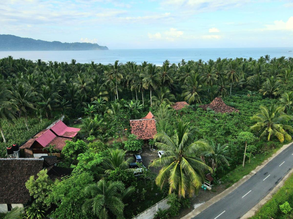 Java Turtle Lodge Meru Betiri Banyuwangi  Exteriör bild