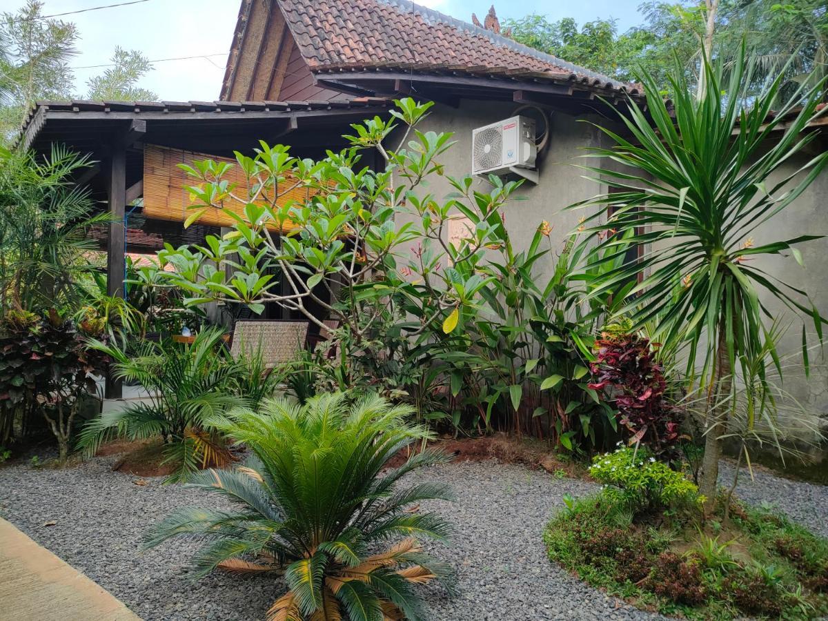 Java Turtle Lodge Meru Betiri Banyuwangi  Exteriör bild