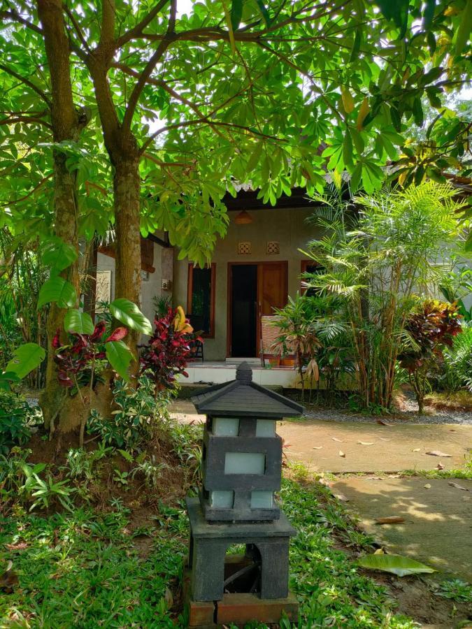 Java Turtle Lodge Meru Betiri Banyuwangi  Exteriör bild