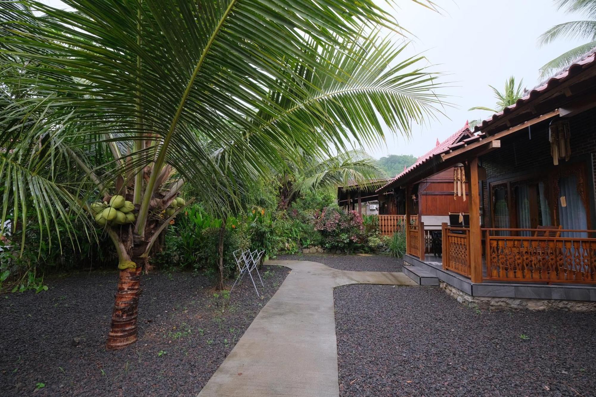 Java Turtle Lodge Meru Betiri Banyuwangi  Rum bild