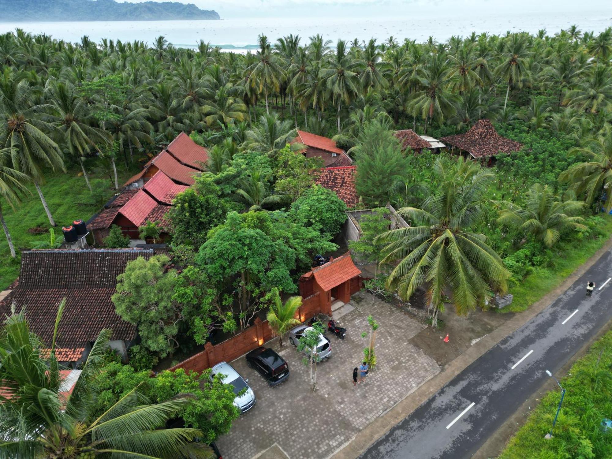 Java Turtle Lodge Meru Betiri Banyuwangi  Exteriör bild