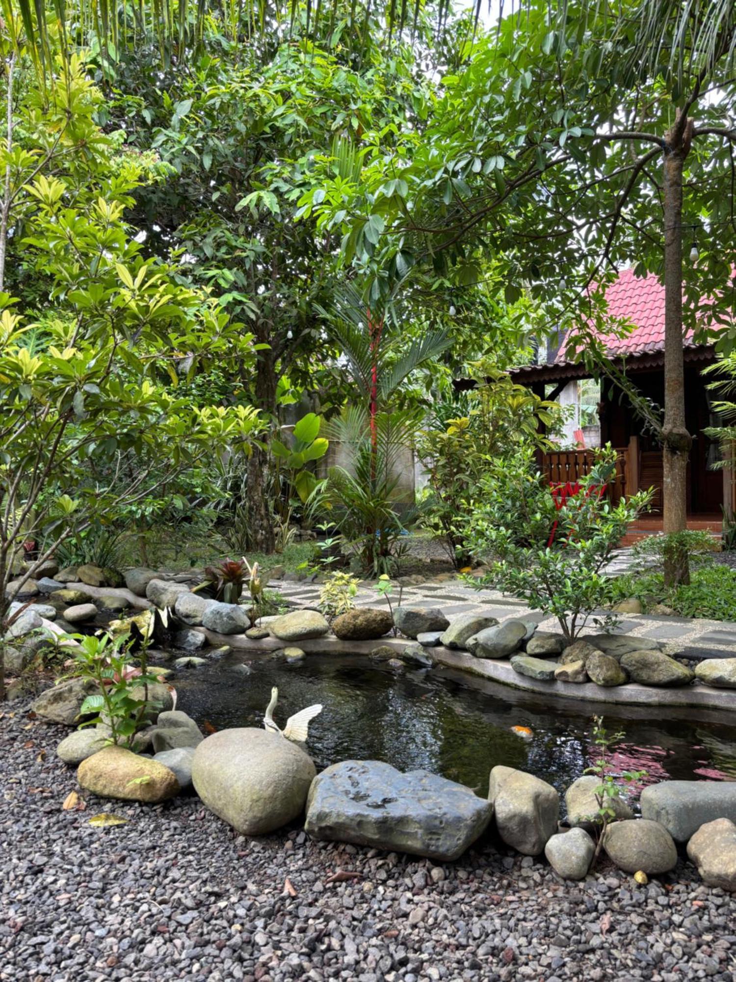 Java Turtle Lodge Meru Betiri Banyuwangi  Exteriör bild