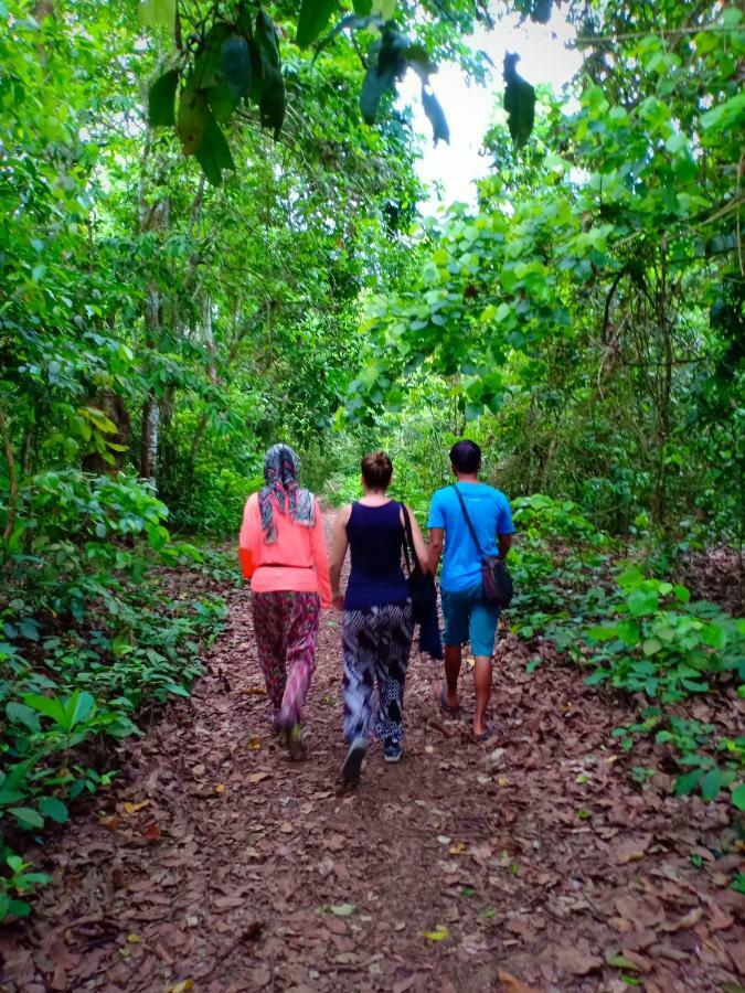 Java Turtle Lodge Meru Betiri Banyuwangi  Exteriör bild