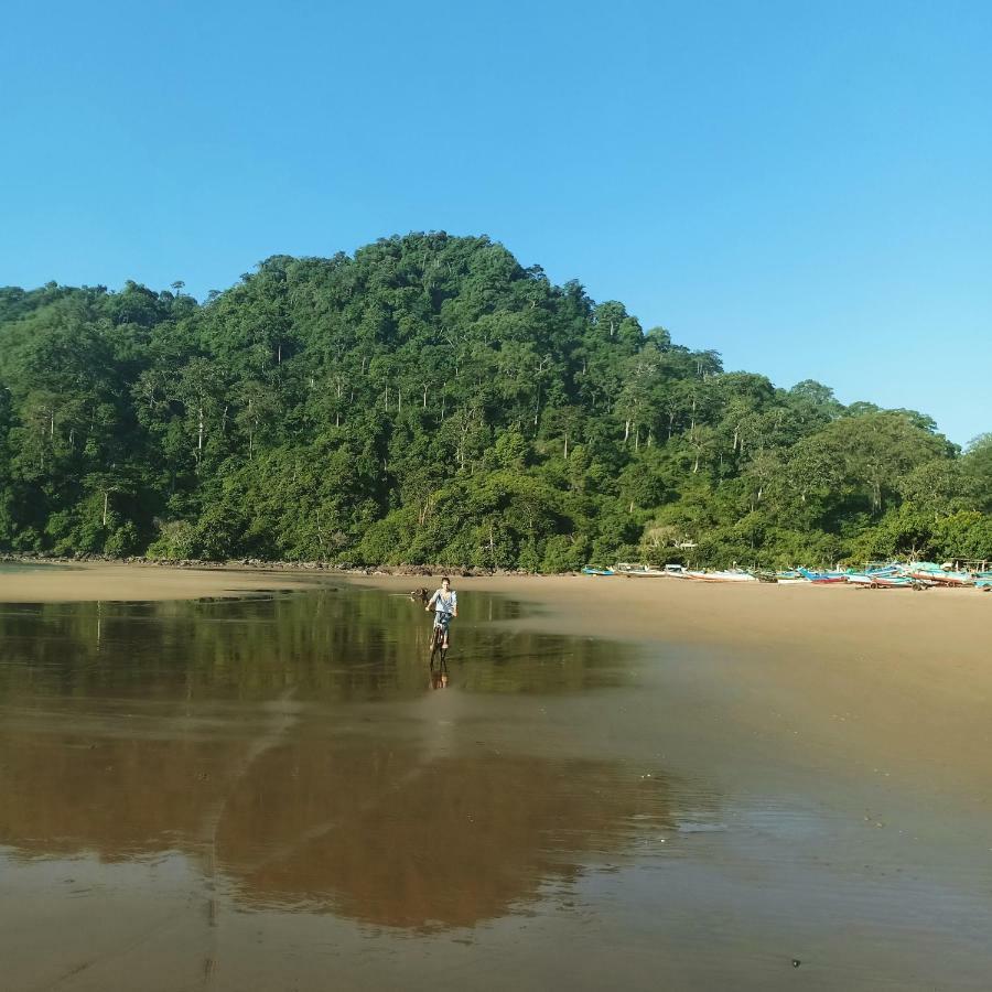 Java Turtle Lodge Meru Betiri Banyuwangi  Exteriör bild