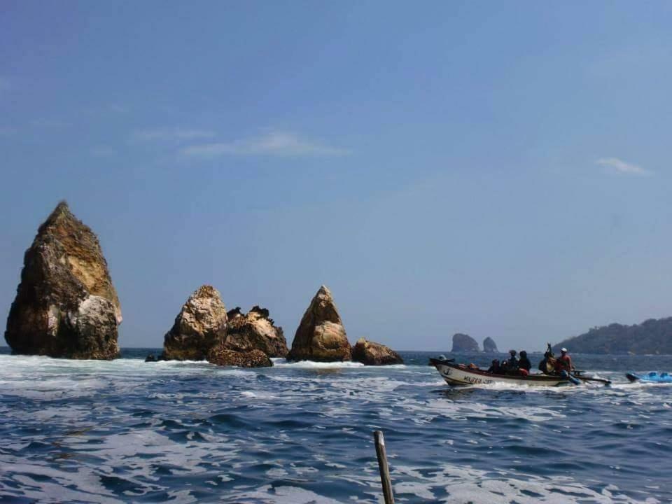 Java Turtle Lodge Meru Betiri Banyuwangi  Exteriör bild