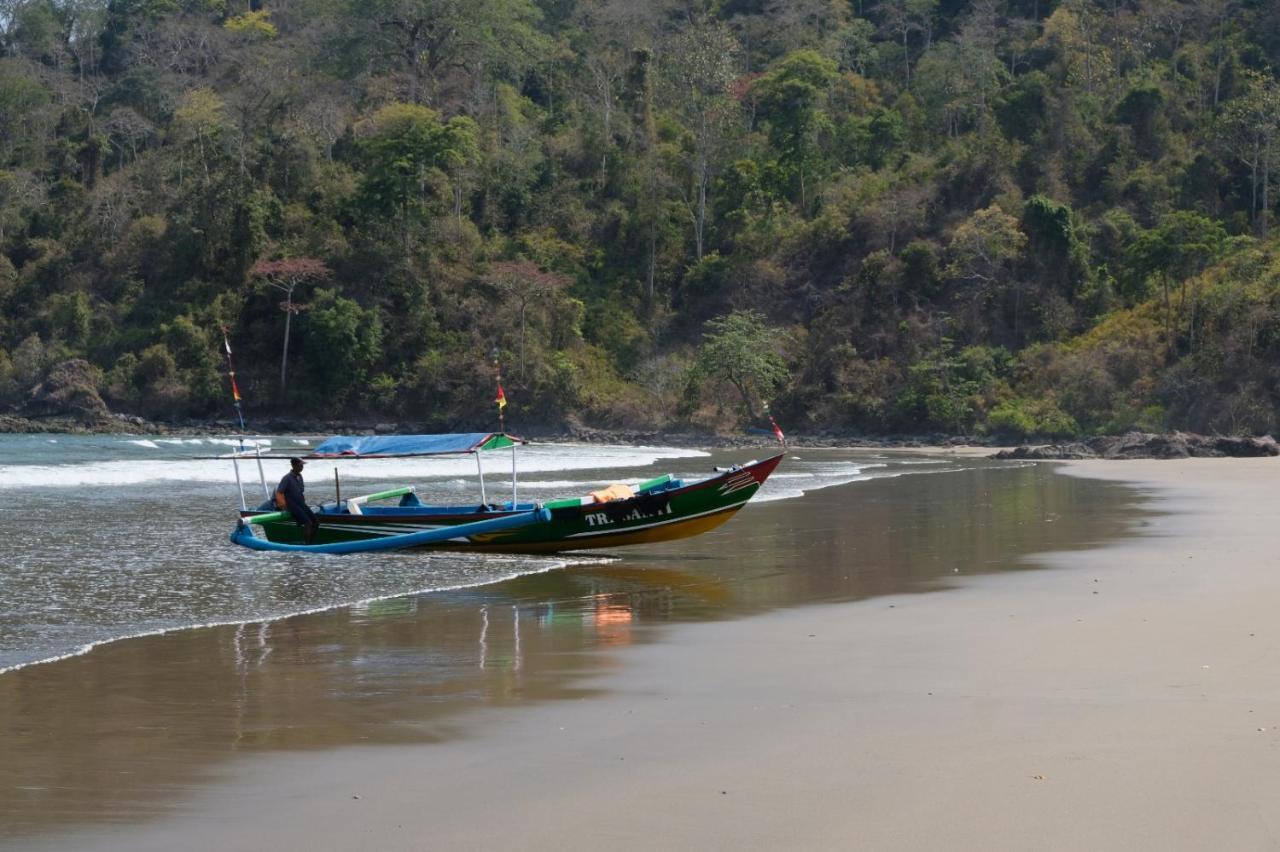 Java Turtle Lodge Meru Betiri Banyuwangi  Exteriör bild