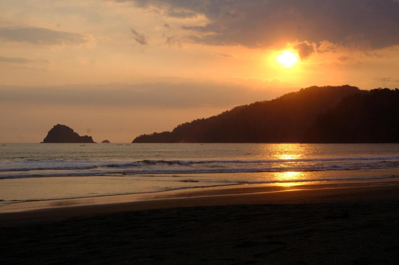 Java Turtle Lodge Meru Betiri Banyuwangi  Exteriör bild