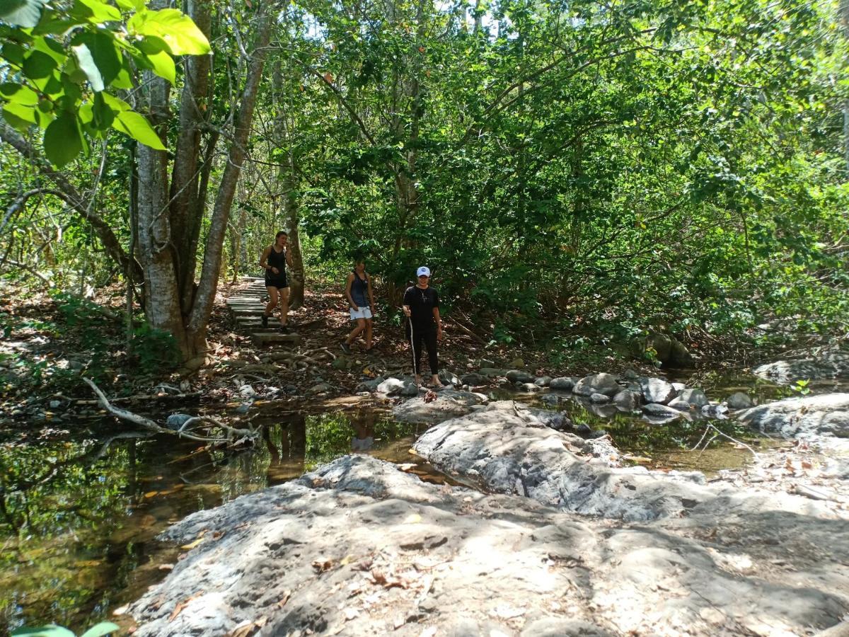 Java Turtle Lodge Meru Betiri Banyuwangi  Exteriör bild